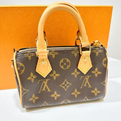 LV Nano Speedy Bag Monogram Canvas